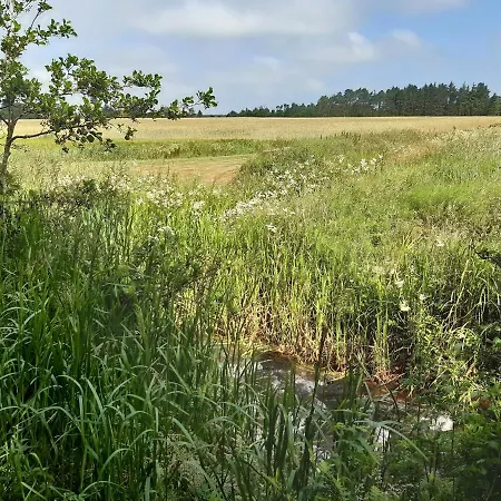 Rejkjaer & * Ulfborg