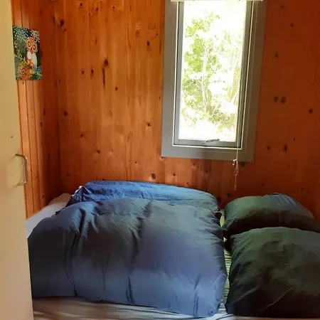 Rejkjaer & * Ulfborg