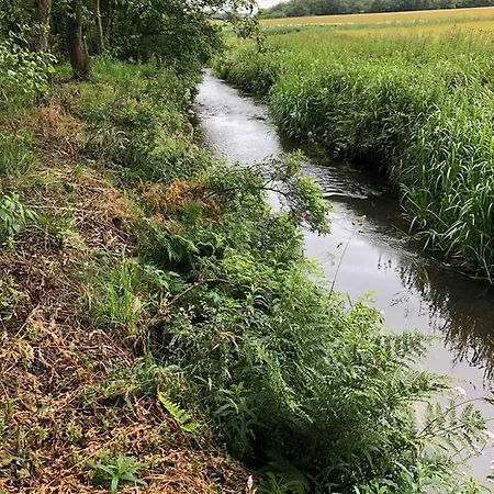 Camping Rejkjaer & *