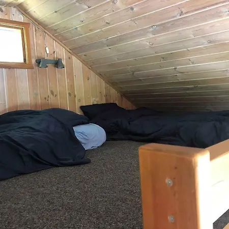 Rejkjaer & * Ulfborg